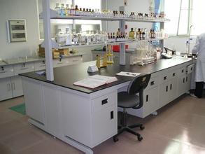 ���݌���_