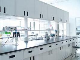 ȫ䓲��|�Č���_������Щ���c