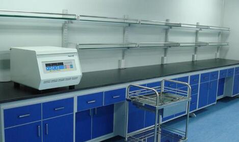 淺談對未來實(shí)驗臺行業(yè)發(fā)展的預(yù)測