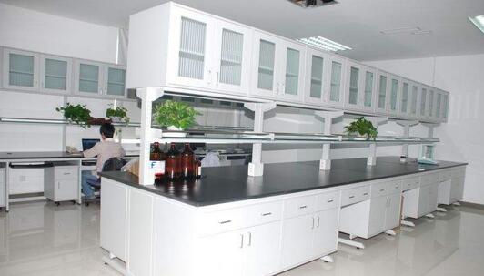 ����_����������Ч�Ž^���W���g